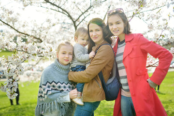 Fototapeta premium Young mother and het three kids having fun in blooming cherry tree garden on beautiful spring day. Family of four outdoors.