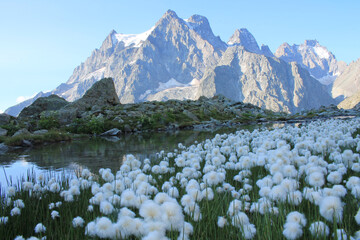 Obraz premium Amazing reflections in lake Tuckett looking Mont Pelvoux in the French alps 