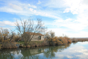 the marshes of Candillargues pond in the south of Montpellier
