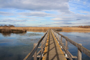 Naklejka premium Wooden pontoon in the marshes of Candillargues pond in the south of Montpellier 