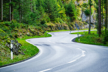 A road in the middle of a summer forest. The road and the turns. Travelling by transport. An asphalt road among the trees.