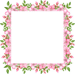 Fototapeta na wymiar Watercolor cherry blossom frame on white background