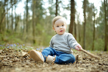 Adorable toddler boy having fun during a hike in the woods on beautiful sunny spring day. Active family leisure with kids.