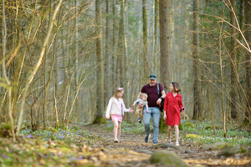 Obraz premium Young father and his three kids hiking in the woods. Family of four having fun on a walking trail on sunny spring day.