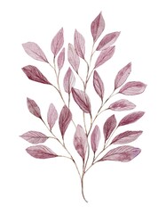 Watercolour botanical clipart with pink branch