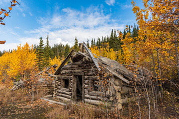 Abandoned log cabin in the wilderness fall, autumn colored woods of Yukon Territory, northern Canada with gold rush, klondike era vibes. 