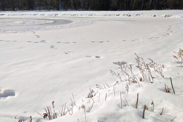 Background of winter landscape - frozen icy lake with footprints