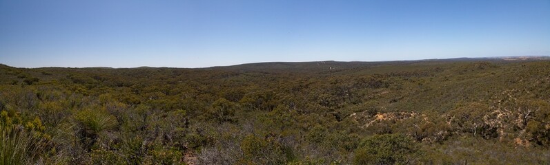 Panorama of outback landscape on the wildflowers trail inside the remote Nambung National Park in Western Australia.