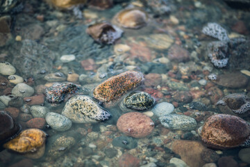 Smooth sea stones. Sea shore. Background. High quality photo