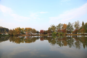 Obraz premium autumn landscape