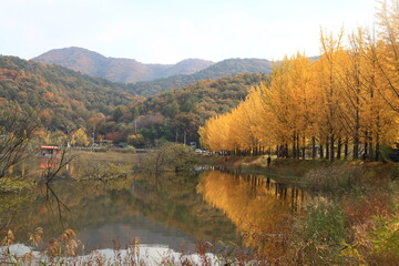 Naklejka premium autumn landscape