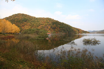 autumn landscape