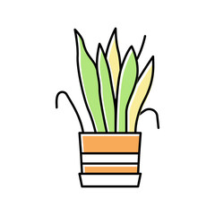 drying house plant color icon vector illustration