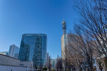 神奈川県横浜市西区みなとみらいの都市景観