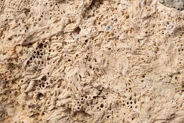 Macro stone wall texture image