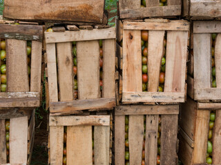 old fence