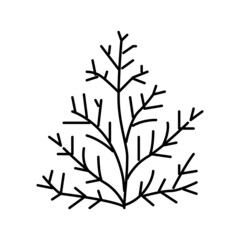 cedar plant aromatherapy line icon vector isolated illustration