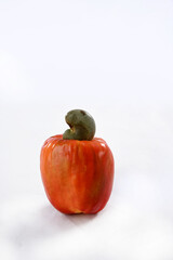cashew natural tasty tropical fruit ideal for juice isolated on white background