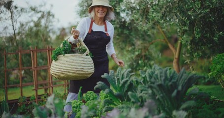 Senior woman tending to her garden beds, enjoying the golden years of retirement