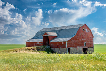 An abandoned red basement or bank barn on the prairies in Saskatchewan  © Nancy Anderson