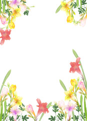 水彩のフリージアのフレーム