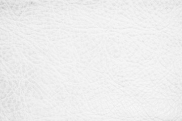 White genuine leather texture background. Empty luxury classic textures for decoration.