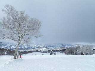 スキー場のゲレンデ