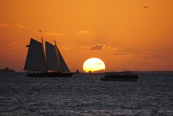 Beautiful sunset overlooking the silhouette yacht and boats on the bay near Key West, Florida,...