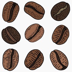 simplicity coffee beans freehand drawing flat design.