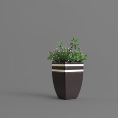 Black potted plant isolated on dark background