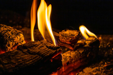 焚き火