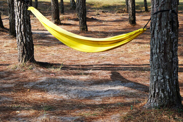 Yellow color hammock among pine trees for nap or rest from trekking or camping at national park in the evening with copy space.