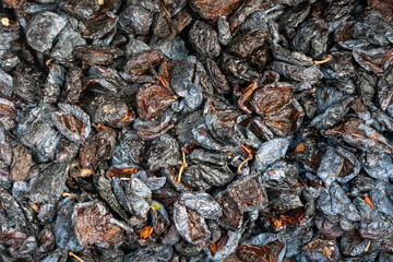 purple large dried prunes at the fruit market