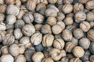walnuts in shell at the market
