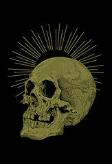 Skull artwork detail illustration