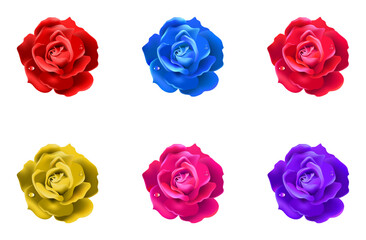 Realistic Colorful Rose Flower Set