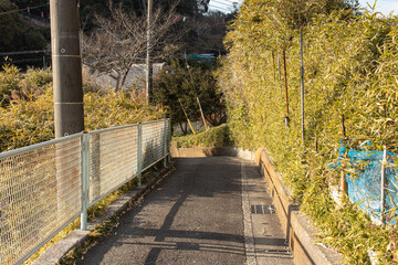 農村の脇道とフェンス