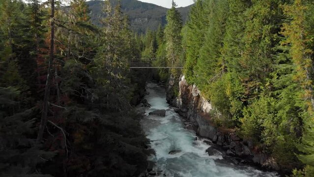 Aerial drone footage, white water river, evergreen forest river Whistler BC, Canada, summer, beautiful flowing river, outdoor alpine. 4K 24FPS.