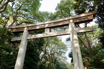 Torii gate at the entry of the Meiji Shrine in Tokyo