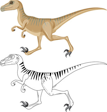 Velociraptor dinosaur with its doodle outline on white background