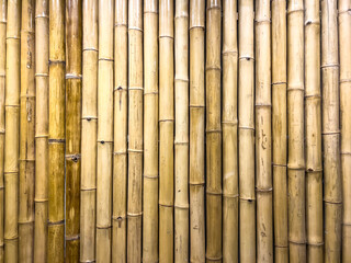 Vertical bamboo fence background