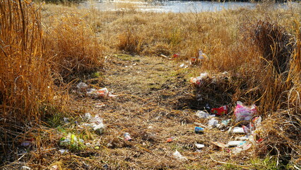 河原に捨てられたゴミ