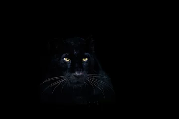 Zelfklevend Fotobehang Black panther with a black background © AB Photography