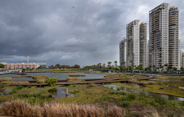 Landscape of pond in the park and  residential buildings. Petah Tikva, Israel.