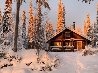 A wooden house or a summer cottage in the nature. The building is surrounded by snowy trees. It is a wonderful sunny winter day.