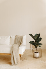 Stylish living room with white and beige furniture. Modern minimalistic interior.