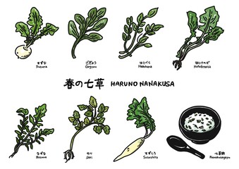 春の七草のイラストセット(すずな、ごぎょう、はこべら、ほとけのざ、なずな、せり、すずしろ、七草粥)