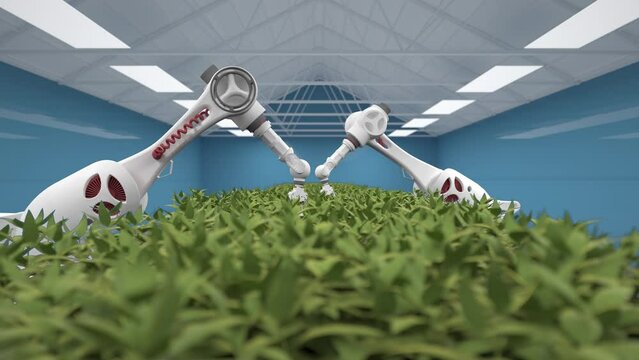 Modern Organic Farmhouse With Robotic Arm - 3d Rendering. Growing vegetables of the future.