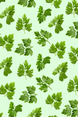 fresh celery leaves on a green pattern background