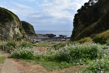 小さなキャベツ畑の向こうに岩の海が広がる